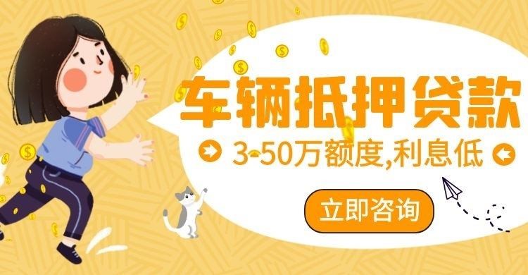 天山汽车抵押贷款申请的要求